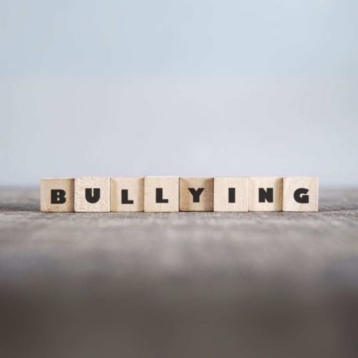 bullying safety