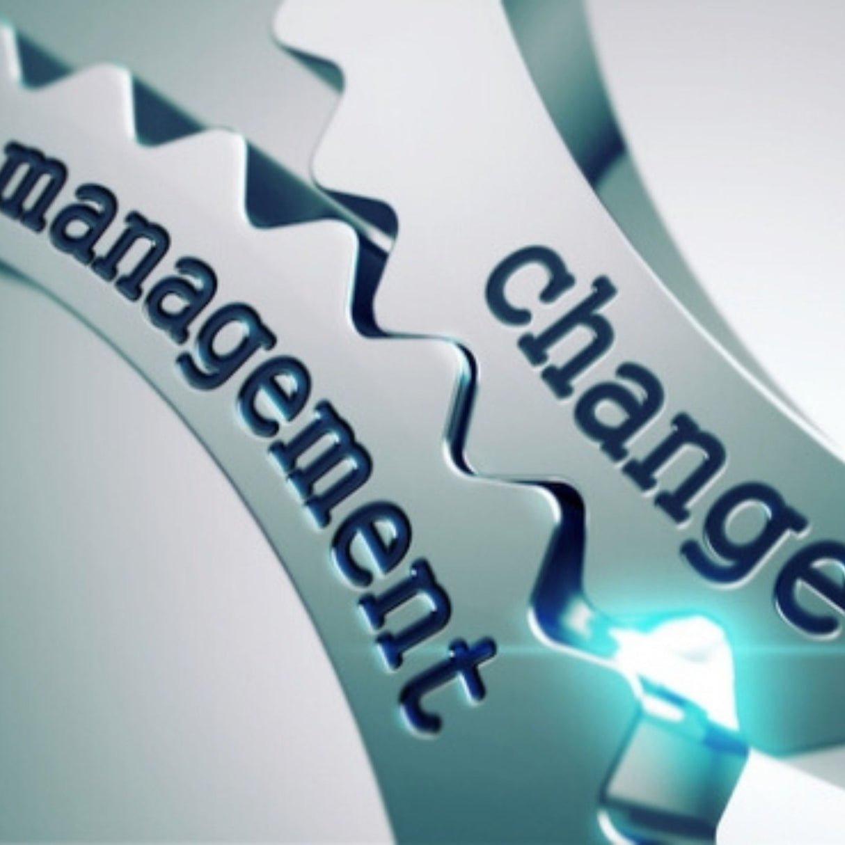 change management working wheels