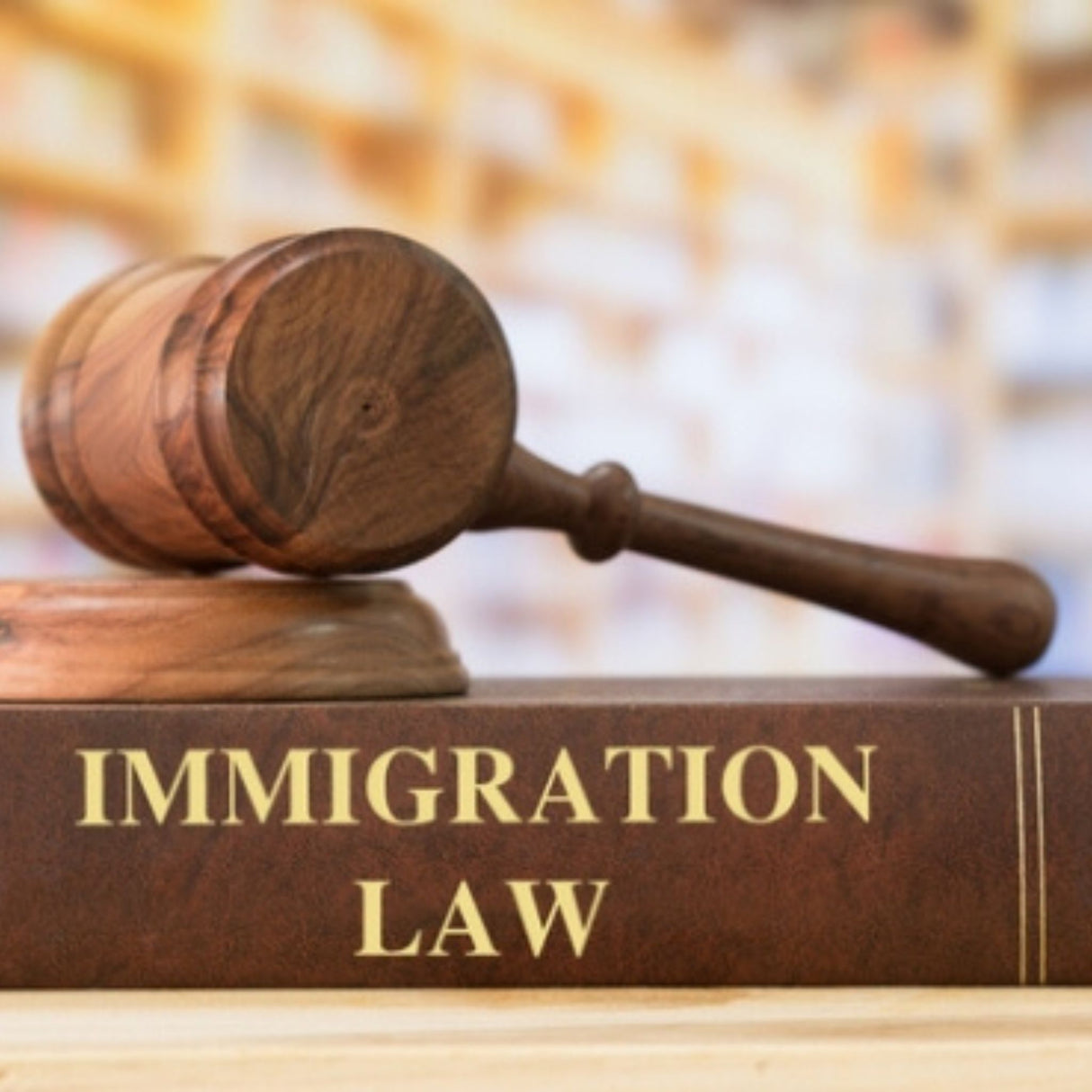 immigration law
