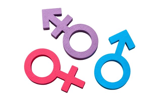 New Gender Identity Training Course
