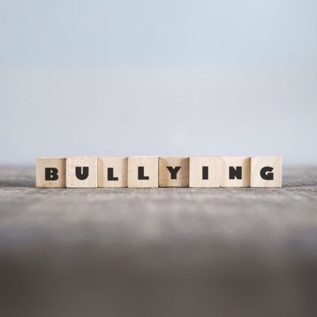 bullying safety