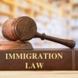 immigration law 