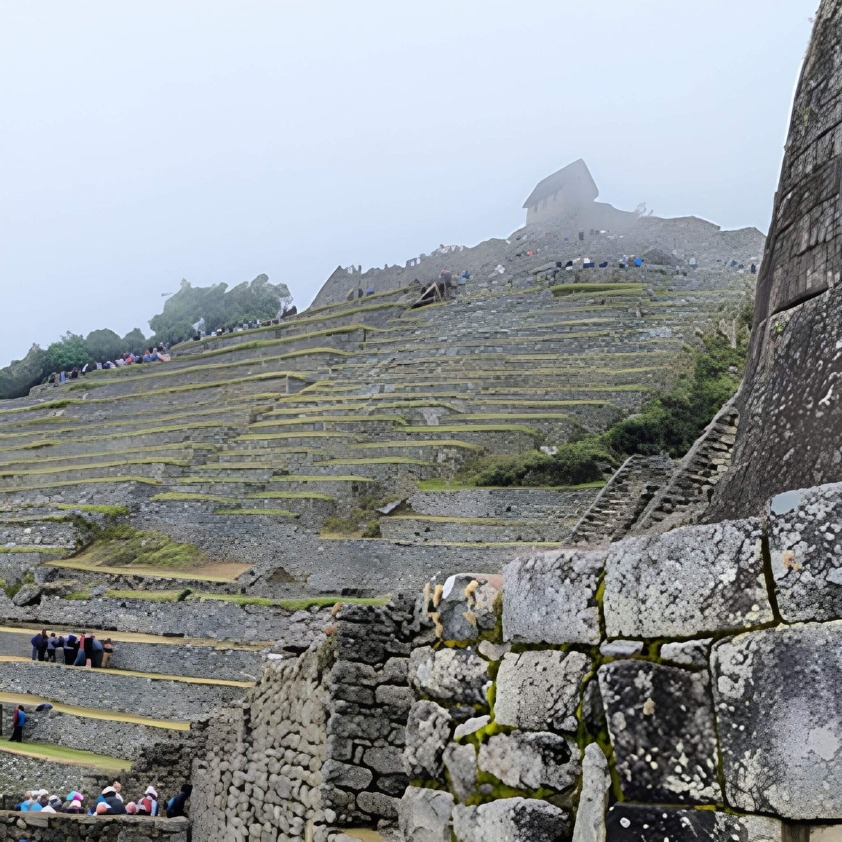 Inca Culture & Peru