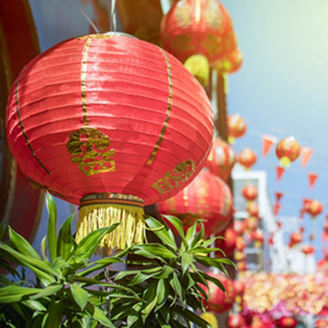 teach kids about the lunar year