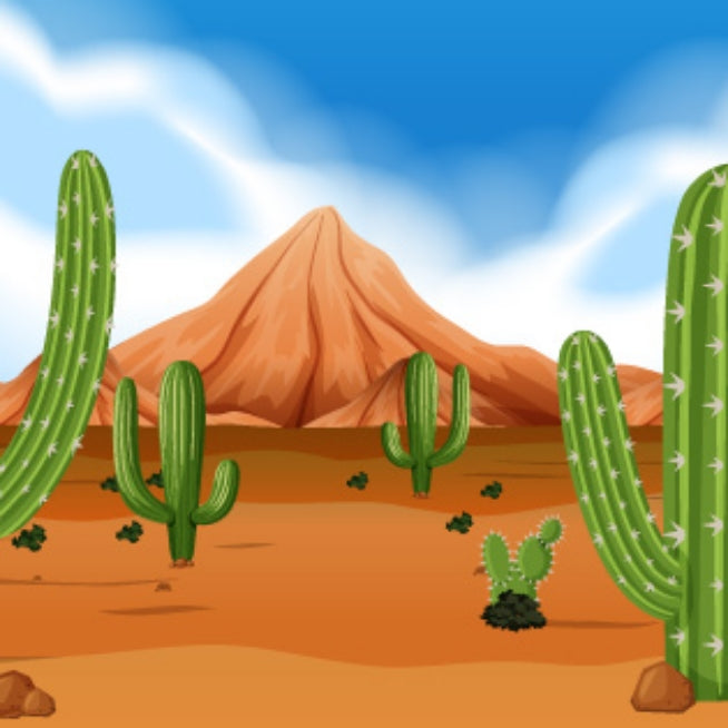 teach kids about deserts
