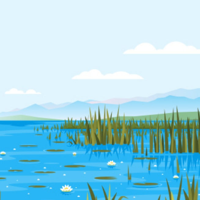 teach kids about freshwater biomes