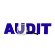 understanding fraud audit bank compliance