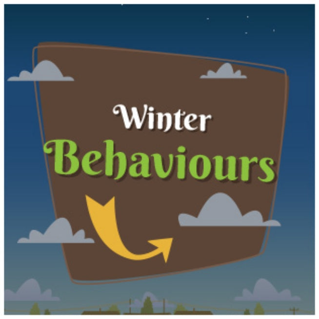 teach kids how animals behave in the winter